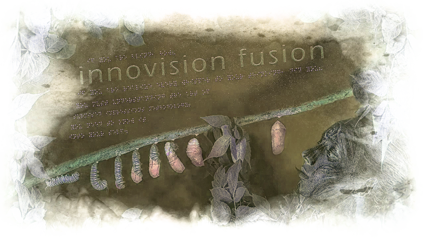 Innovision Fusion v5 “Enduring”