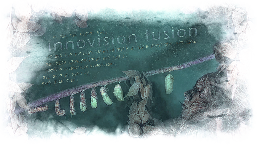 Innovision Fusion v2 "Owl in the Cage"