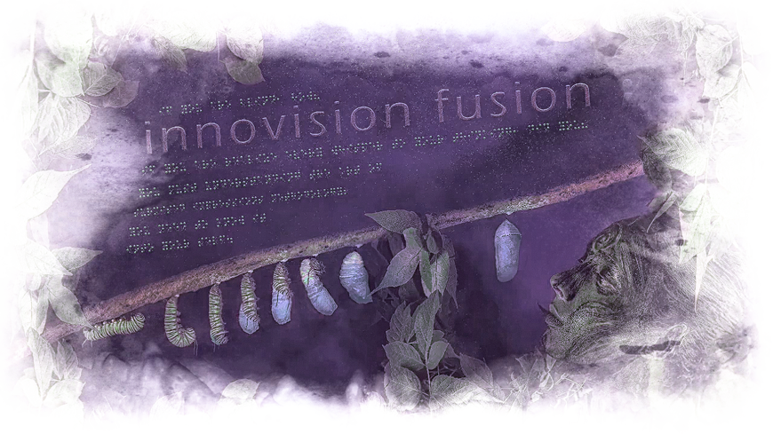 Innovision Fusion v3 "Hunt"