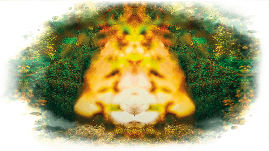 Image Creation, Composing.